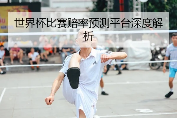 世界杯比赛赔率预测平台深度解析