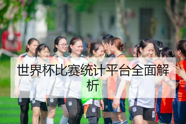 世界杯比赛统计平台全面解析