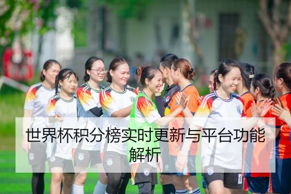 世界杯积分榜实时更新与平台功能解析