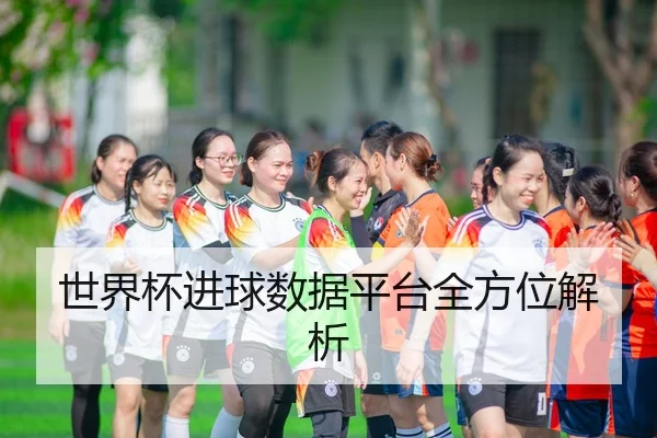 世界杯进球数据平台全方位解析