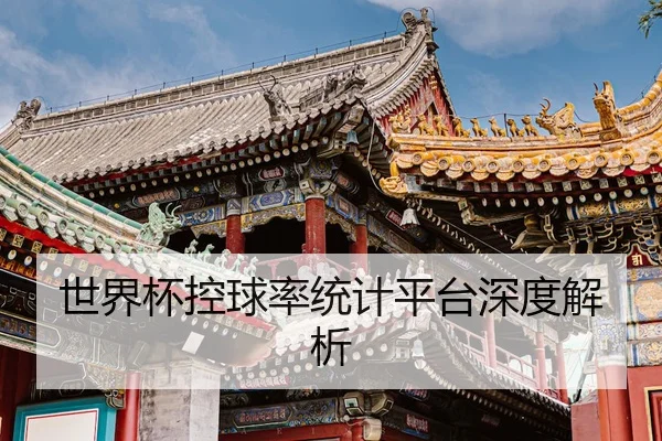 世界杯控球率统计平台深度解析