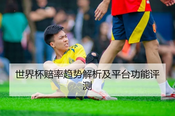 世界杯赔率趋势解析及平台功能评测