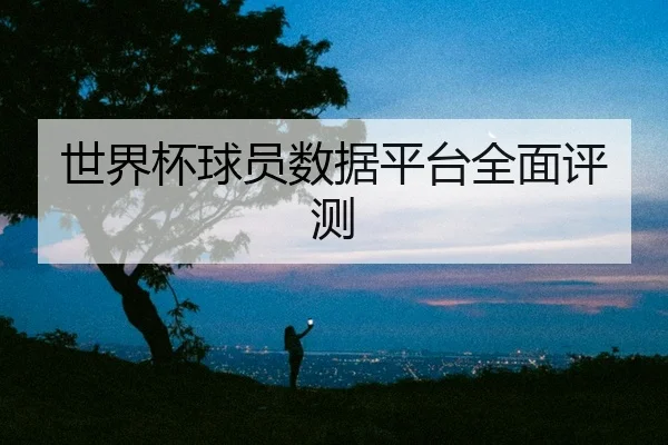 世界杯球员数据平台全面评测