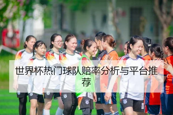 世界杯热门球队赔率分析与平台推荐