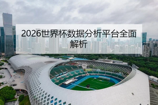 2026世界杯数据分析平台全面解析