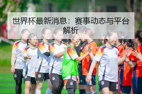 世界杯最新消息：赛事动态与平台解析